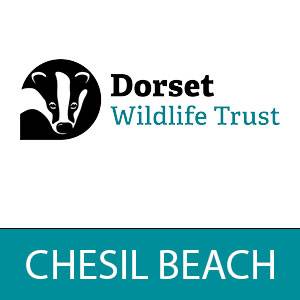 Beach Visit: Chesil Beach logo